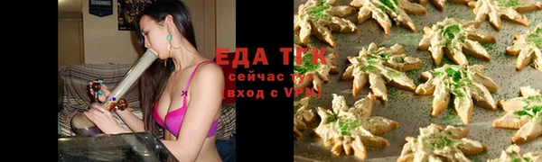 ПСИЛОЦИБИНОВЫЕ ГРИБЫ Осинники