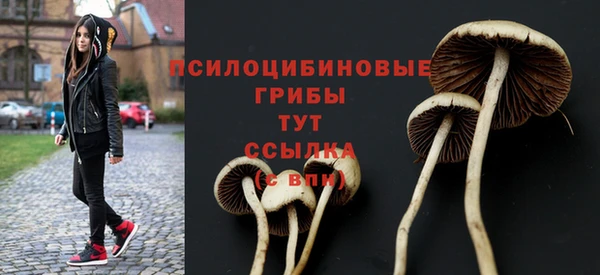 ПСИЛОЦИБИНОВЫЕ ГРИБЫ Осинники