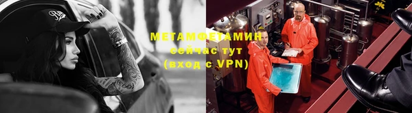 ПСИЛОЦИБИНОВЫЕ ГРИБЫ Осинники