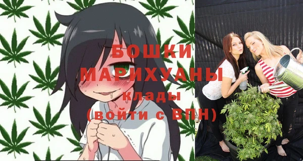 твердый Осташков