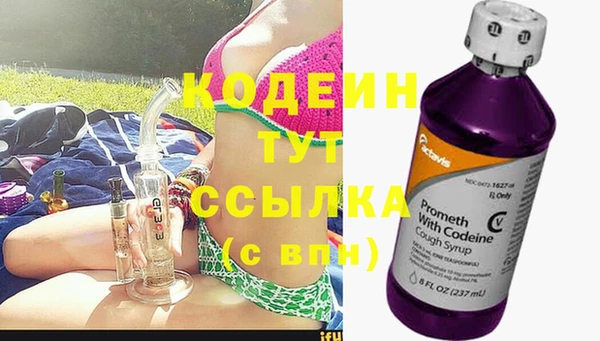 ПСИЛОЦИБИНОВЫЕ ГРИБЫ Осинники