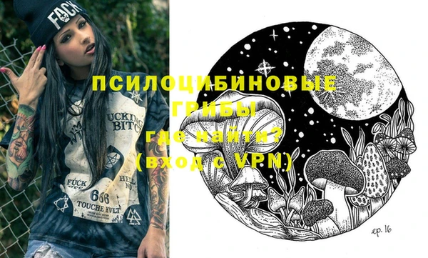 твердый Осташков
