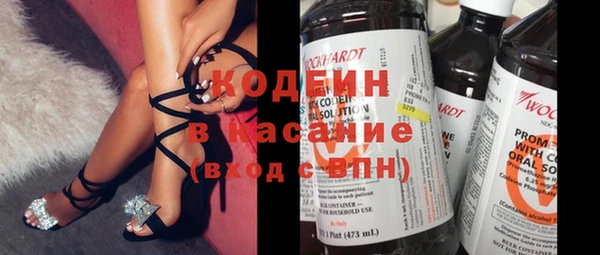 ПСИЛОЦИБИНОВЫЕ ГРИБЫ Осинники