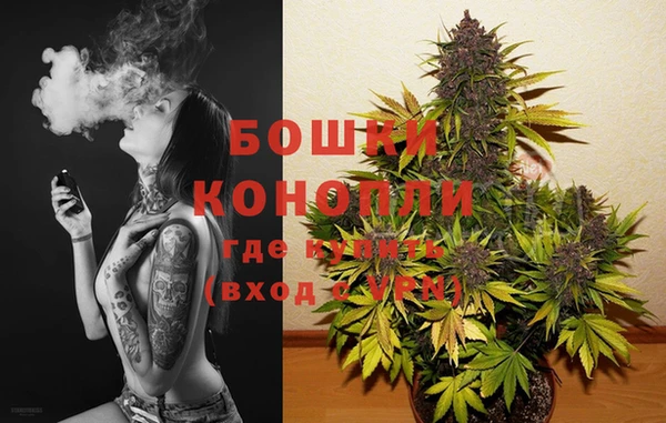 твердый Осташков
